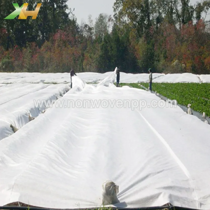spunbonded pp non woven